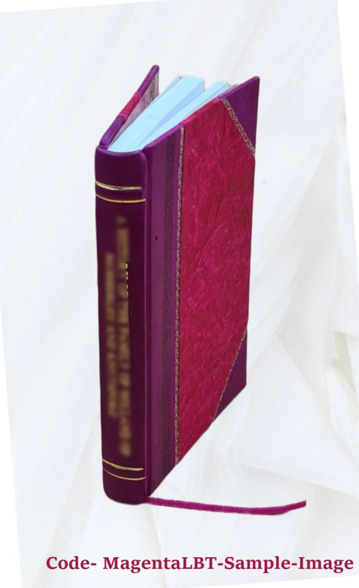 Descriptive catalogue of a collection of byzantine, early Italian, German, and Flemish pictures : belonging to his Royal Highness Prince Albert, K.G.,etc.,etc.,etc. 1854 [Leather B