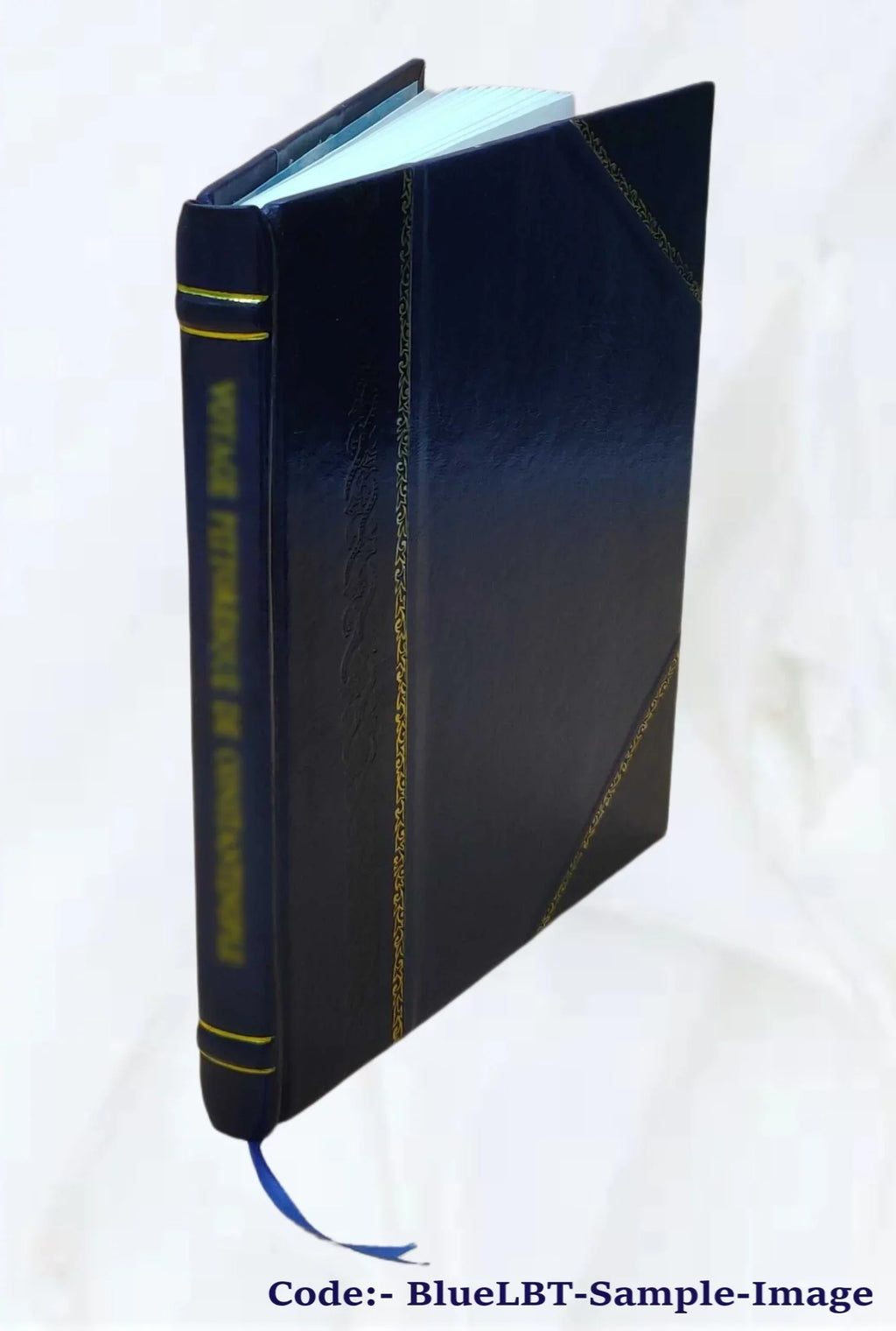 Oklahawa National Forest (N.F.), Oklawaha River management : environmental impact statement. Volume D 1973 [Leather Bound]